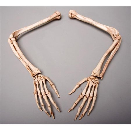 SKELETONS AND MORE Skeletons and More SM370DLA Aged Left Skeleton Arm SM370DLA